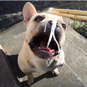 Meet your Posher, Nyki